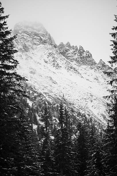 istock Mountains - Zakopane in the winter - monochrome 636813600