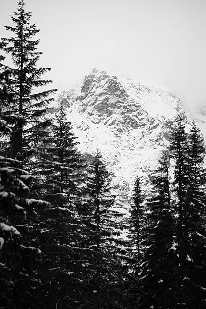 istock Mountains - Zakopane in the winter - monochrome 636814702
