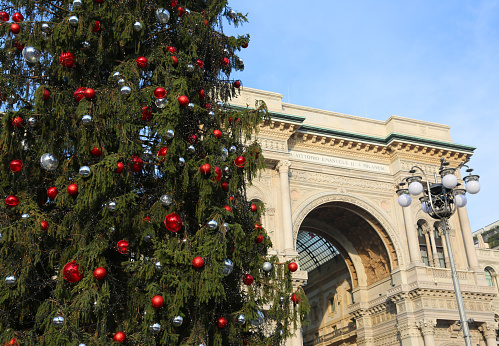 Christmas tree and gallery building