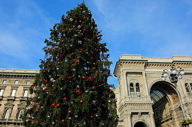 decorated Christmas tree and building in Milan Italy