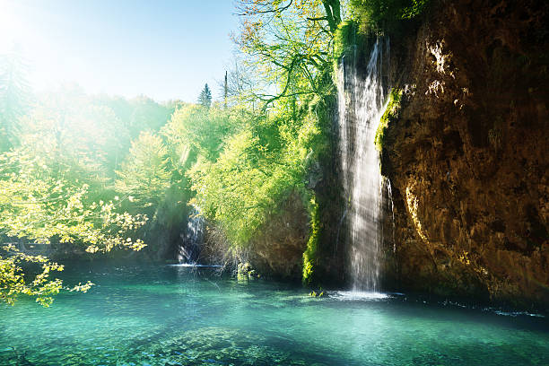 istock lake in forest, Croatia, Plitvice 636815664
