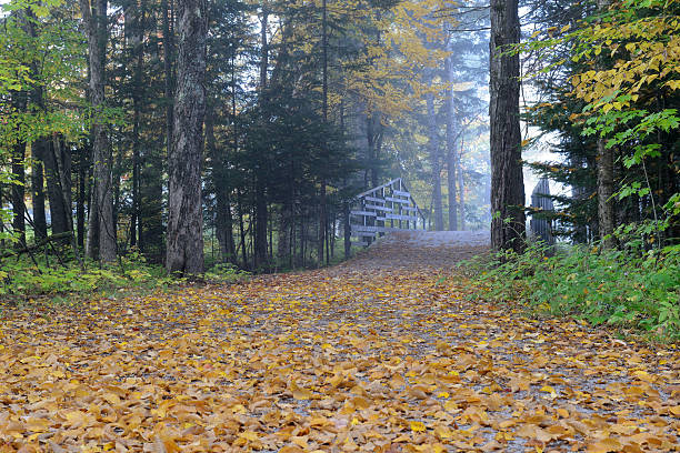 istock Trail in Mont Tremblant National Park 636815730