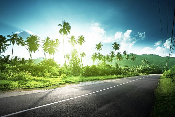 istock empty road in jungle of Seychelles islands 636816940