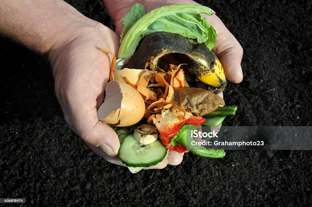 Le compostage  - Photo de Compost libre de droits