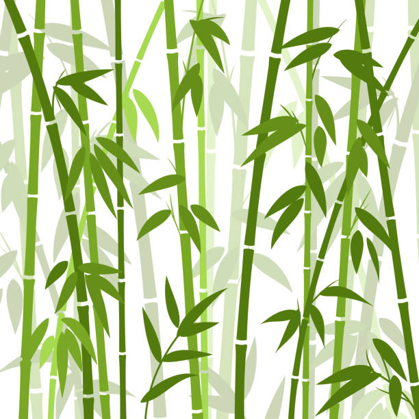 Chinese or japanese bamboo grass oriental wallpaper vector illustration Chinese or japanese bamboo grass oriental wallpaper vector illustration. Tropical asian plant background bamboo plant stock illustrations