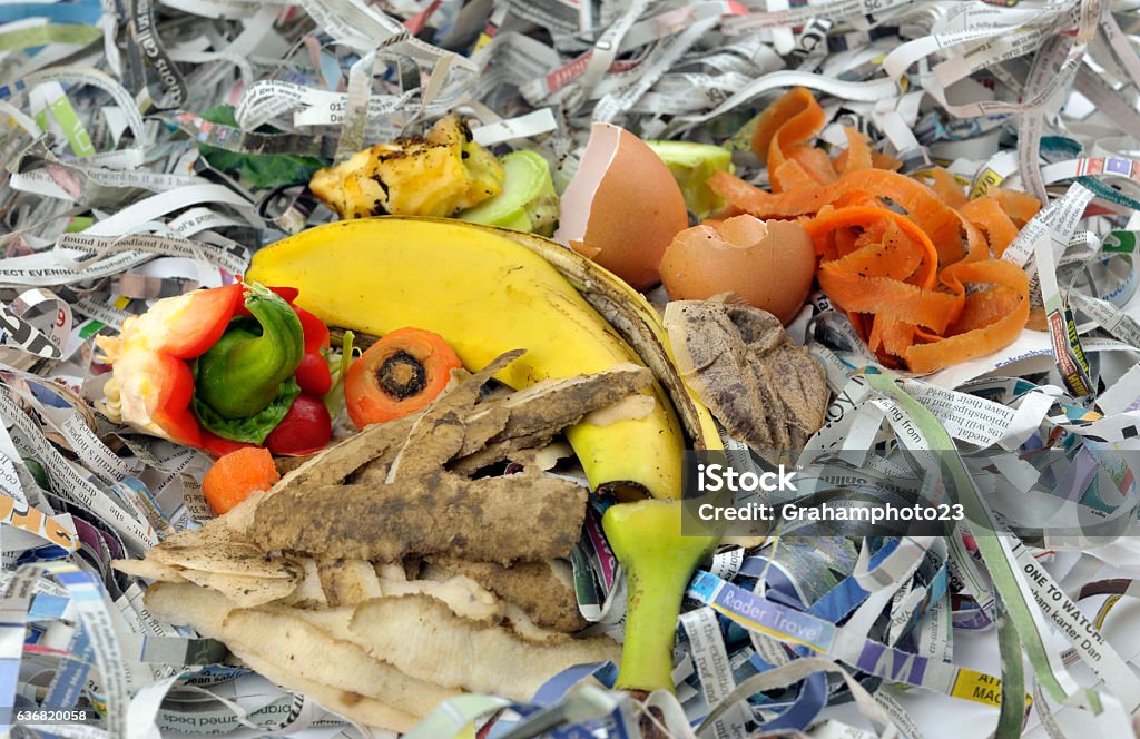 Composting Composting materials comprising fruit and vegetable kitchen food waste mixed with shredded newspaper. Compost Stock Photo