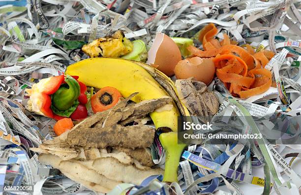 Composting Stock Photo - Download Image Now - Compost, Newspaper, Paper