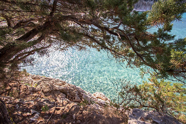 istock Cala Luna Beach, Sardinia, Italy 636823290