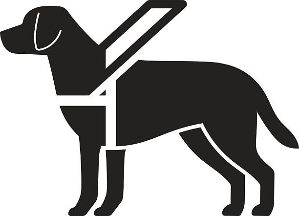 ilustraciones, imágenes clip art, dibujos animados e iconos de stock de señal de perro guía - service dog