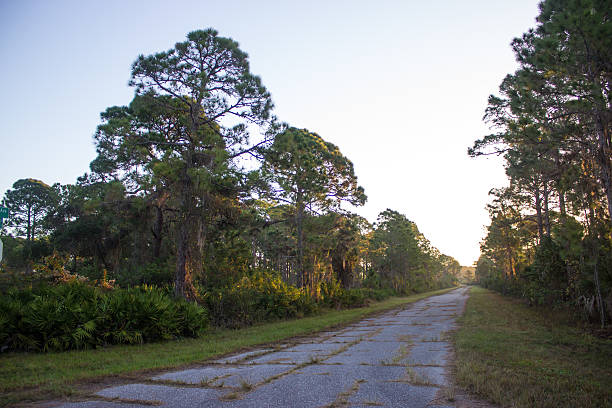 istock Abandoned Street at Sunrise 636828262
