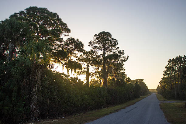 istock Abandoned Street at Sunrise 636828696