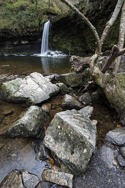 istock Beautiful waterfall landscape image in forest during Autumn Fall 636830324