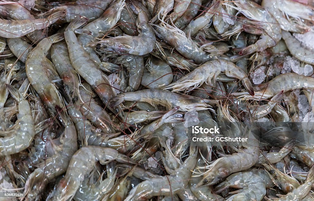 Pile of Shrimp on a table, at Dubai Fish Market Large pile of shrimp. Abundance Stock Photo