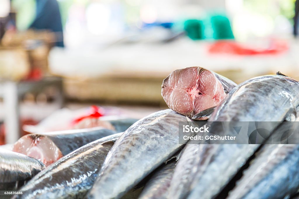 Heap of Kingfish, waiting to be sold. Several Kingfish stacked on to of each other, to be sold to a customer. Abundance Stock Photo