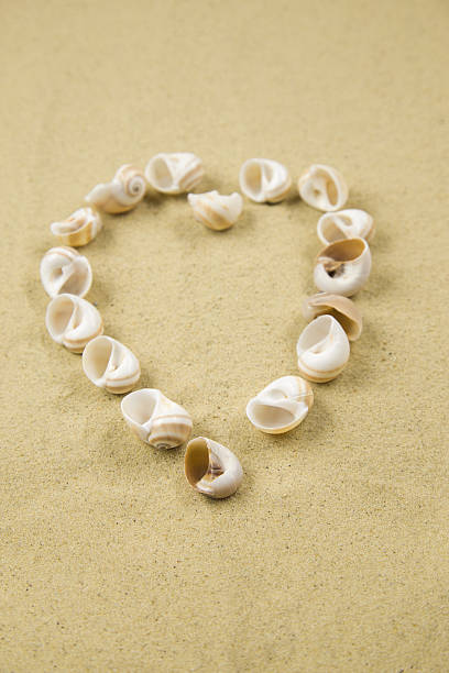 istock valentine heart made with shells on sand background 636836456