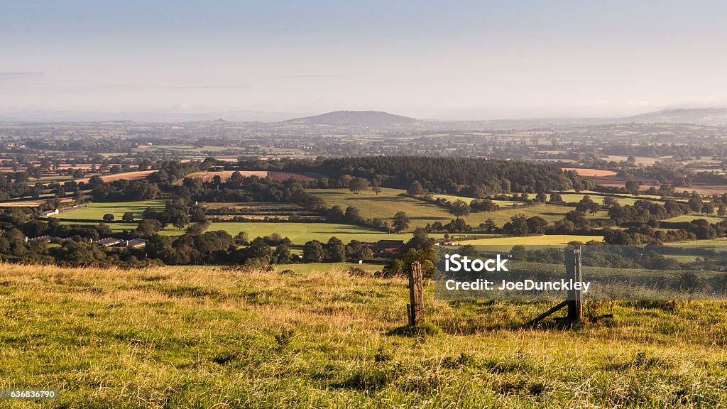 Morning light on the Blackmore Vale Looking over the Blackmore Vale, a rural agricultural valley in North Dorset, from the summit of Okeford Hill in the Dorset Downs. Agricultural Field Stock Photo