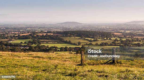 Morning Light On The Blackmore Vale Stock Photo - Download Image Now - Agricultural Field, Agriculture, Blackmore Vale