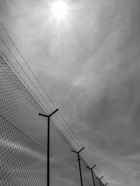 istock Barbed wire fence under the sun background 636838378