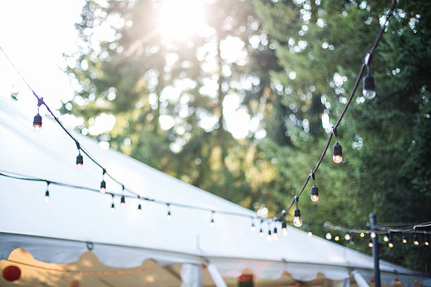 istock Decorative Outdoor Party Lights in Garden 636838748