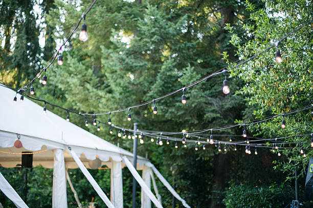 istock Decorative Outdoor Party Lights in Garden 636838754