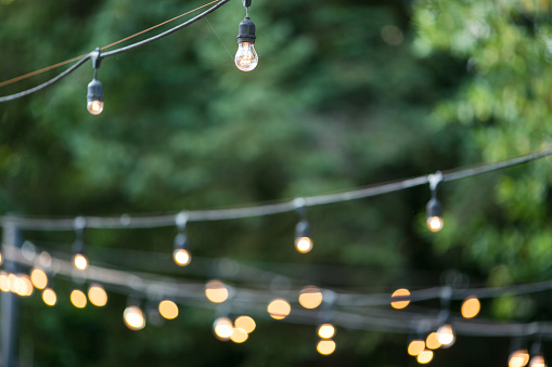 A string of rounded lights for an outdoor garden party are sharply defined with crisp detail.  The surrounding greenery is blurred to provide contrast from the muted backdrop, making the lights the main point of focus for the eyes. This image is a capture from a wedding reception where the lights were used to light up the dance floor during the evening hours. Beautiful decorative lighting is great for setting the mood at any summer outdoor celebration.