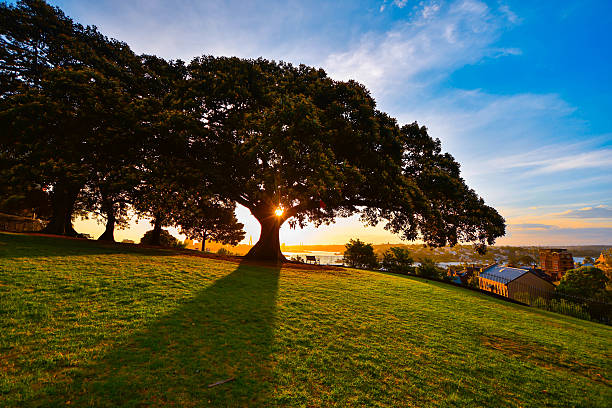 istock Observatory Hill Park after the sunset, Sydney, Australia 636841166