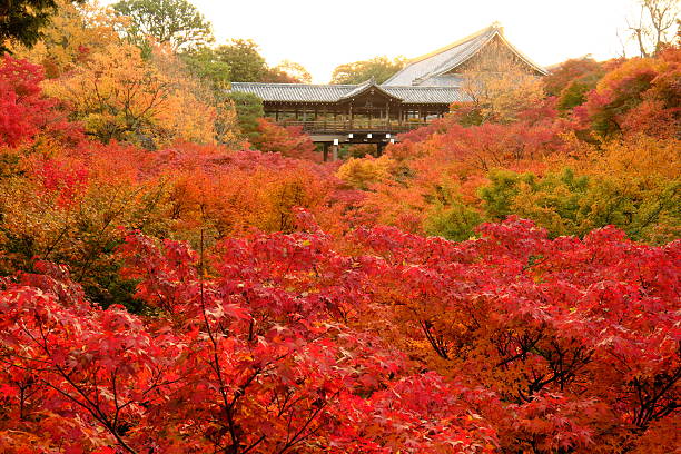 istock Tofuku-ji Temple 636842224