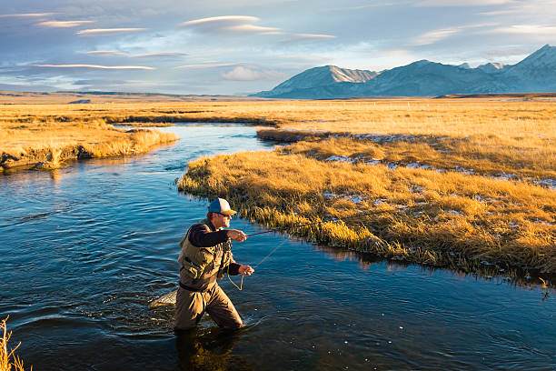 fly fisherman on the river casting - fly fishing stock-fotos und bilder