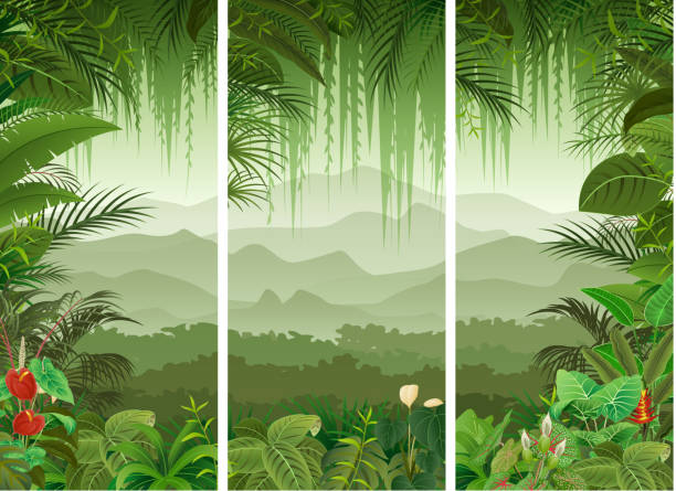 Amazon River Vector Art Graphics Freevector Com