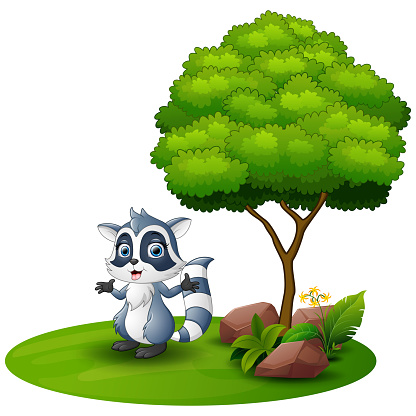 Illustration of Cartoon raccoon under a tree on a white background