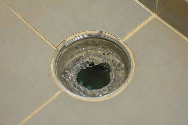 istock Drain dirty bathrooms, mold head 636845680