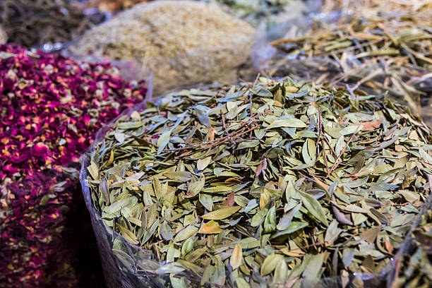 istock Collection of Spices and Dried Eucalyptus Leaves 636851056
