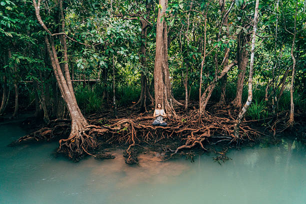 mulher fazendo yoga perto do rio em floresta tropical - lotus root water lotus plant - fotografias e filmes do acervo
