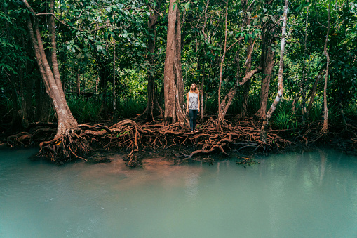 Young Caucasian woman standing  near the river in tropical forest in Krabi, Thailand