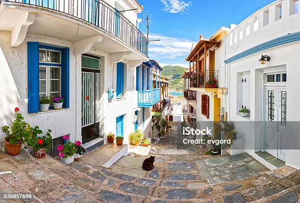 Skopelos Stock Photo - Download Image Now - Skopelos, Domestic Cat, Greece