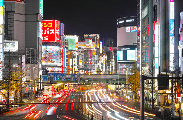 istock Nishi Shinjuku night's big guard 636860300
