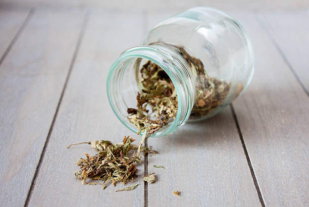 istock Stevia dried leaves in a jar 636862808
