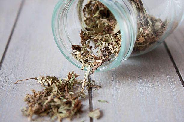 istock Stevia dried leaves in a jar 636862858