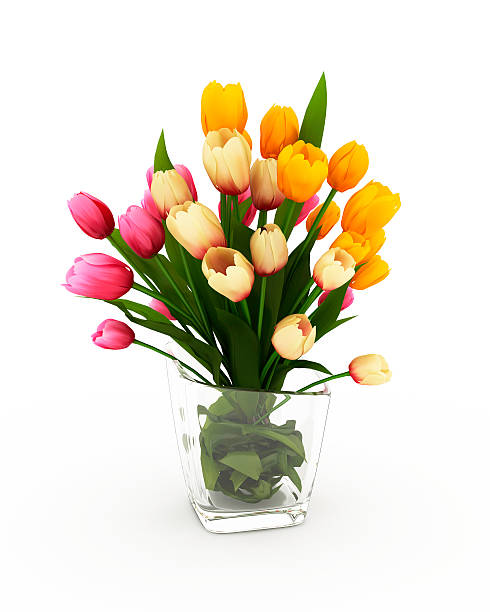 istock Tulips in a Glass Vase Isolated on White Background 636865804