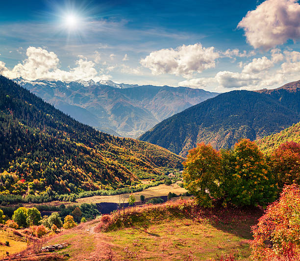 istock Colorful maple trees on the hill of Ushba mountain 636866114