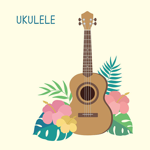 illustrations, cliparts, dessins animés et icônes de illustration vectorielle mignonne. ukulélé - ukelele