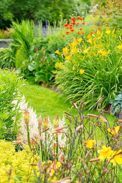 istock Beautiful colors in the garden 636868040