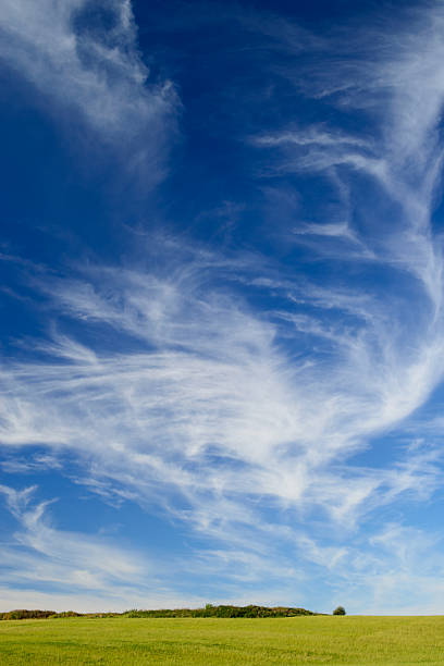 istock landscape, high blue sky with clouds and green field, meadow 636868860