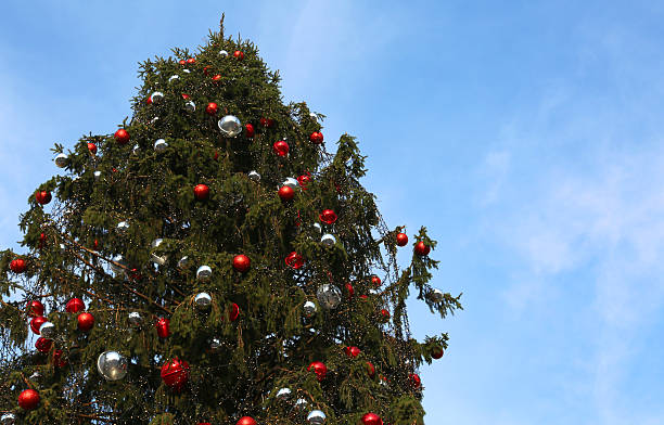 istock Christmas fir tree with many Decorative Christmas Balls 636869400