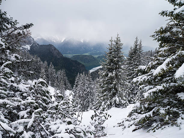 vue sur la vallée de l’allgeau - allemagne - sauling photos et images de collection