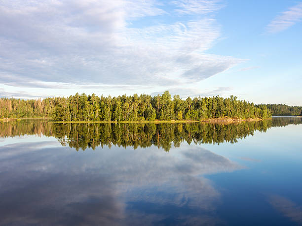 istock island in the forest lake 636878668