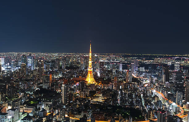 istock Tokyo Red tower and skyline with lights in the evening 636878764