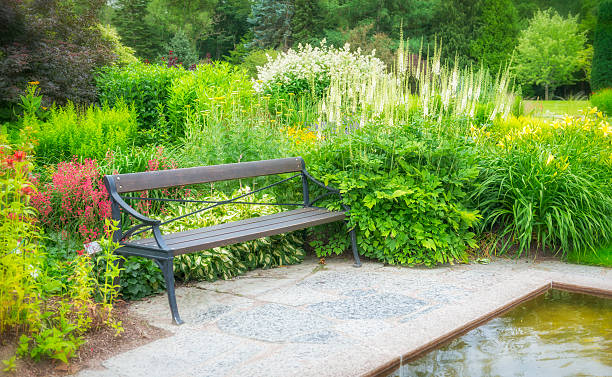 istock Beautiful place to relax 636882172