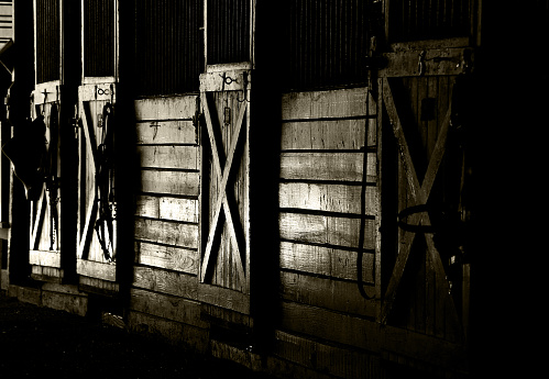 The low afternoon light reflects off the stalls in a stable.