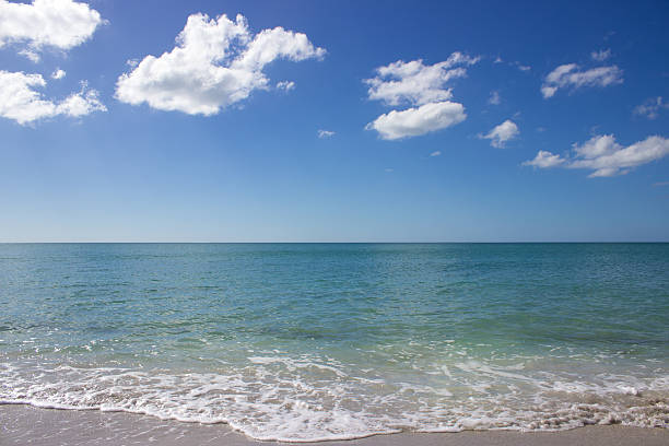 istock Beautiful Beach on Sunny Day 636883894